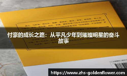 付豪的成长之路：从平凡少年到璀璨明星的奋斗故事