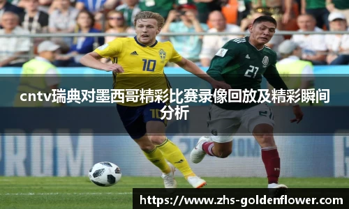 cntv瑞典对墨西哥精彩比赛录像回放及精彩瞬间分析