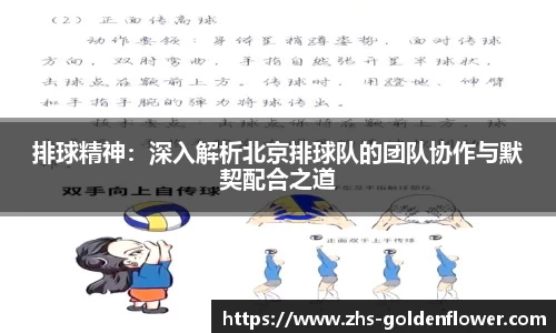排球精神：深入解析北京排球队的团队协作与默契配合之道