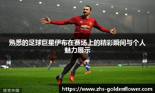 熟悉的足球巨星伊布在赛场上的精彩瞬间与个人魅力展示